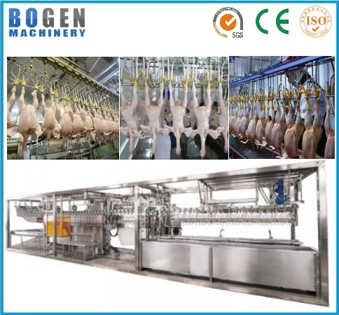 Automatic chicken slaughtering line